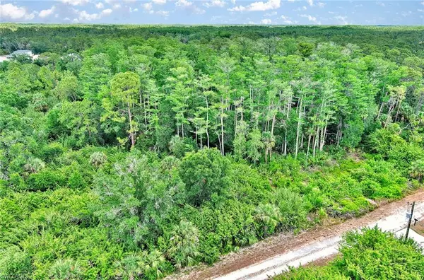 Lehigh Acres, FL 33972,520 Woodman DR