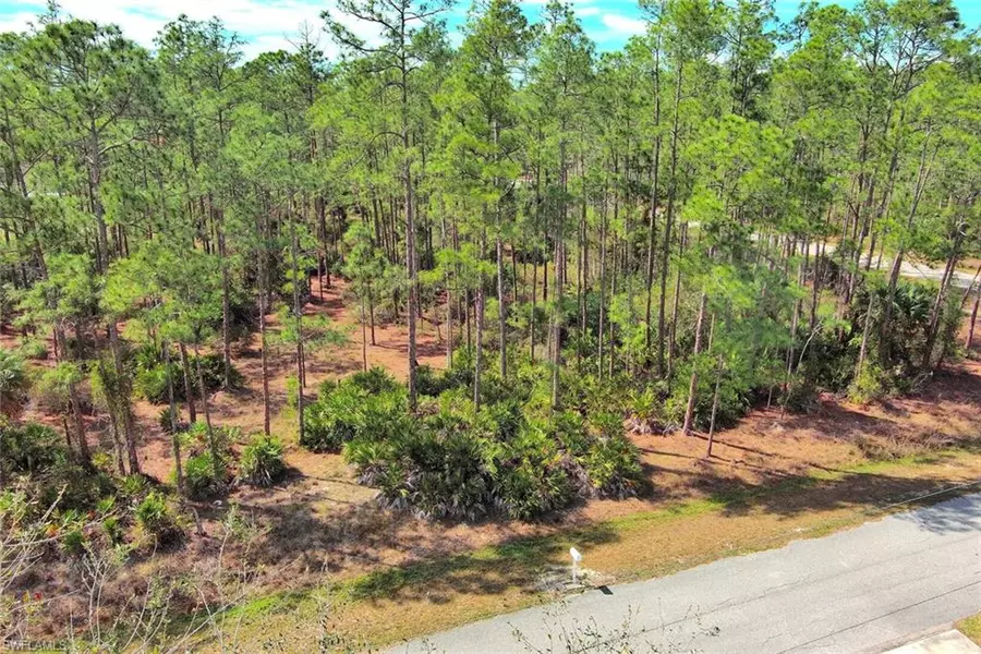 2221 Canton AVE, Alva, FL 33920