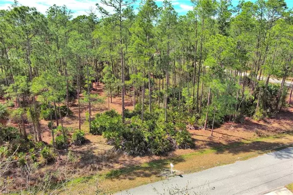 2221 Canton AVE, Alva, FL 33920