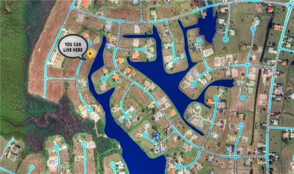 Punta Gorda, FL 33955,17294 Comingo LN
