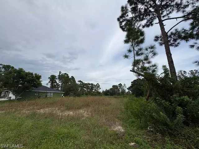 Lehigh Acres, FL 33974,1055 Manta AVE S