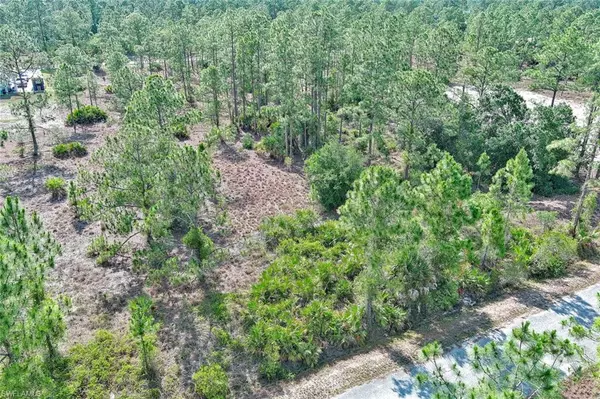 317 Fitch AVE, Lehigh Acres, FL 33936