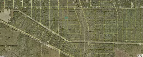Hastings, FL 32145,21-10-28-2775-00050-0177 Ruth AVE