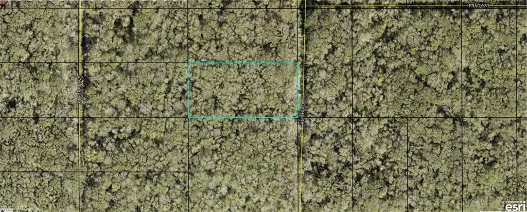 Hastings, FL 32145,21-10-28-2775-00050-0177 Ruth AVE