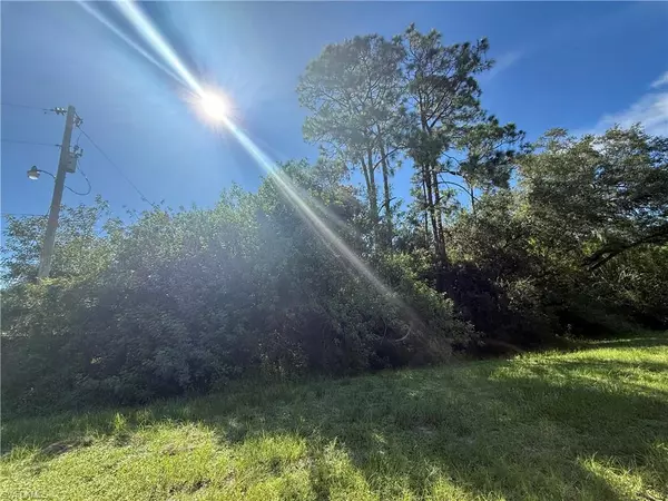 Clewiston, FL 33440,780 N Zambria ST