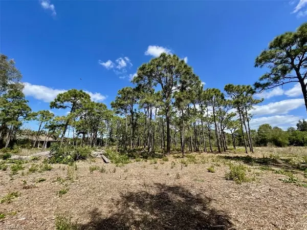 Bokeelia, FL 33922,6438 Fuller DR