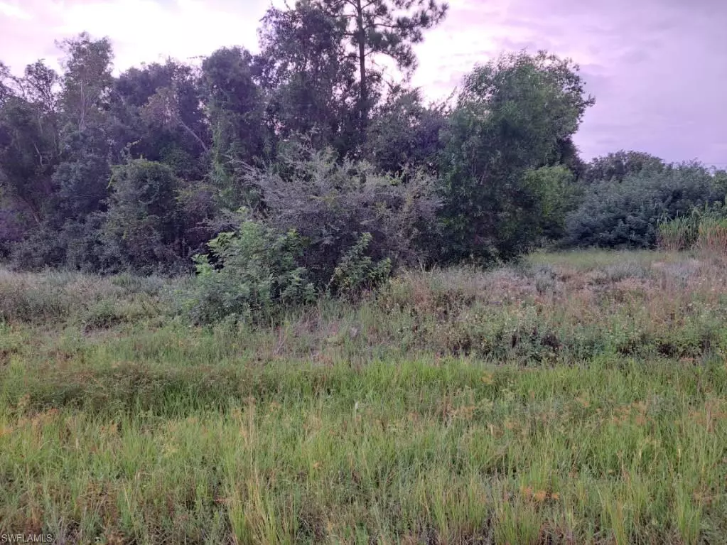 Lehigh Acres, FL 33973,145/147 Pine LN