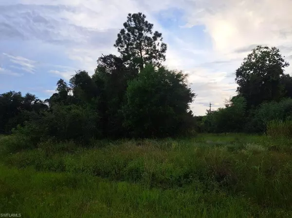 Lehigh Acres, FL 33973,145/147 Pine LN