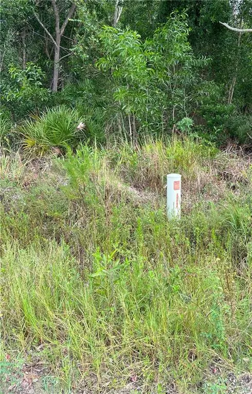 Bokeelia, FL 33922,15514 Martinique WAY