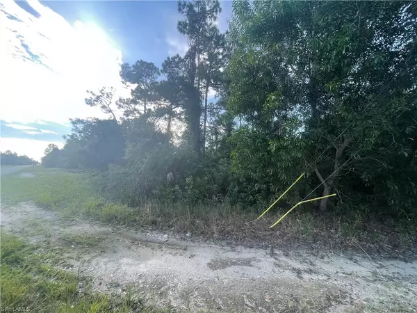 Lehigh Acres, FL 33971,1804 Dewitt AVE N