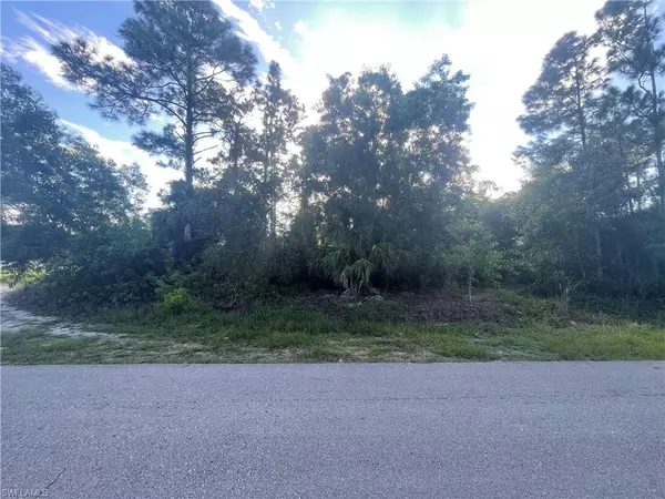Lehigh Acres, FL 33971,1804 Dewitt AVE N