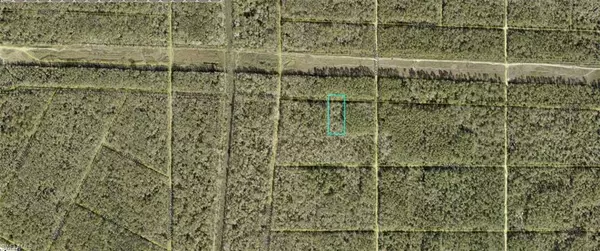 Hastings, FL 32145,21-10-28-2775-00040-0885 Lena ST
