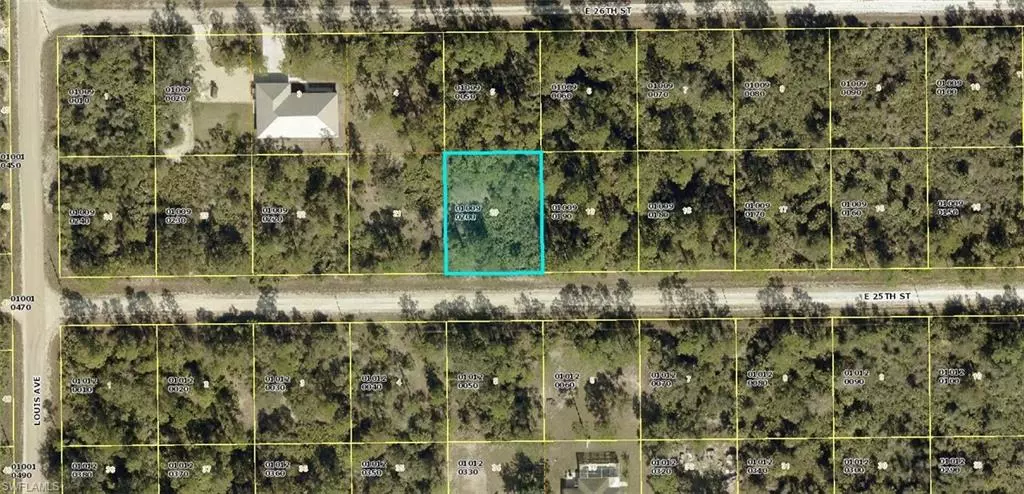 4199 E 25th ST, Alva, FL 33920