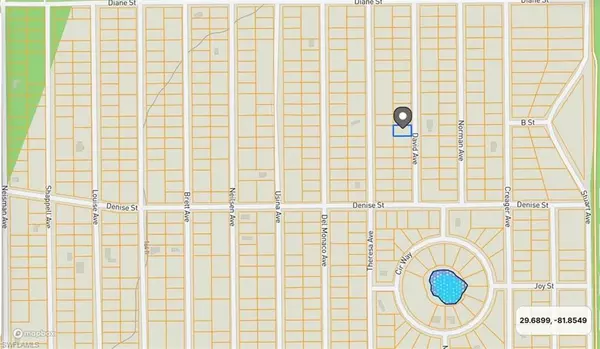 Interlachen, FL 32148,917 David AVE