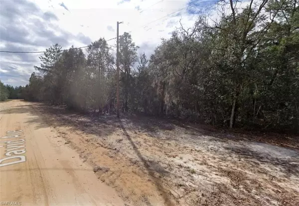 Interlachen, FL 32148,917 David AVE