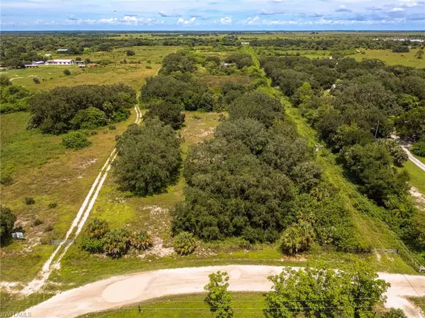 Moore Haven, FL 33471,1667 Palomino DR