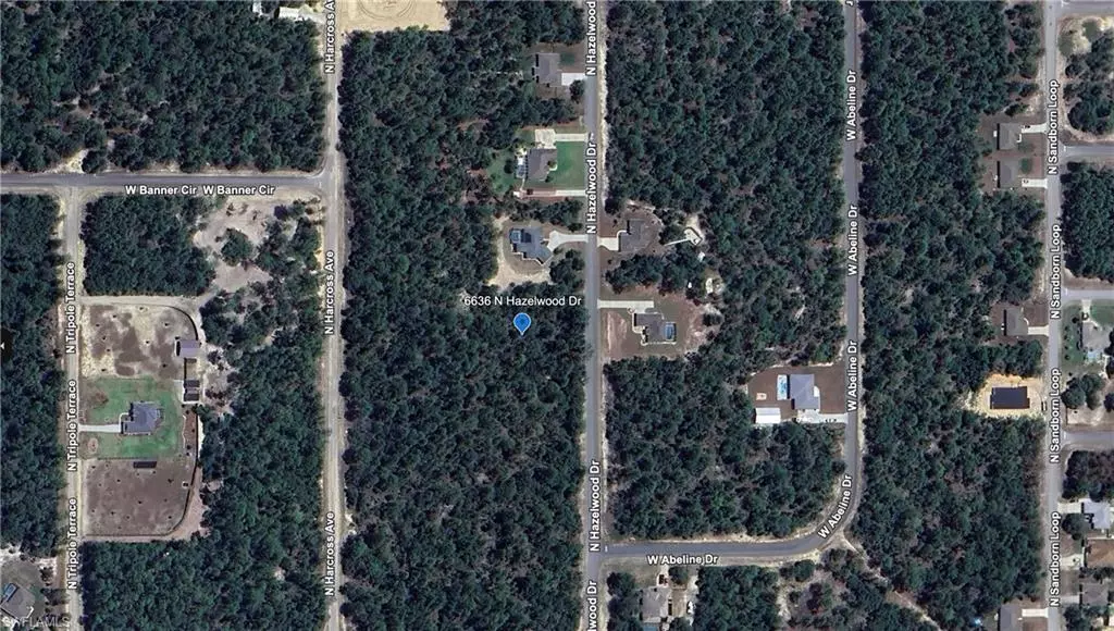 6636 N Hazelwood DR, Citrus Springs, FL 34433