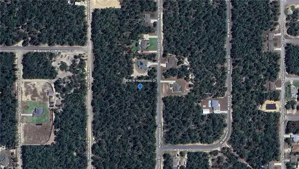6636 N Hazelwood DR, Citrus Springs, FL 34433