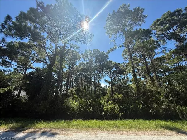 Clewiston, FL 33440,450 S Romero ST