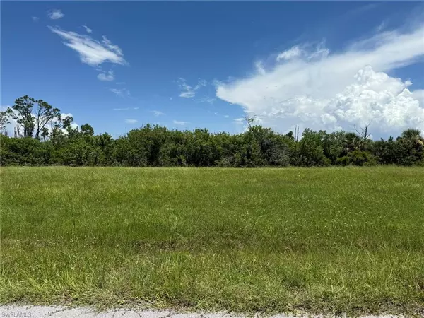 Placida, FL 33946,12539 Blue Marlin RD