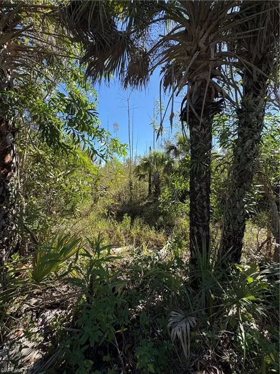 Naples, FL 34114,LE BUFF RD