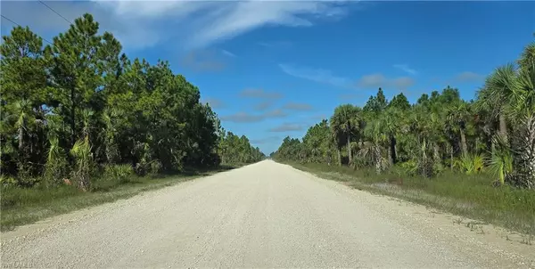 Naples, FL 34117,1375 54th AVE SE