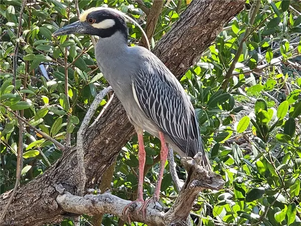 Sanibel, FL 33957,737 Vinca WAY