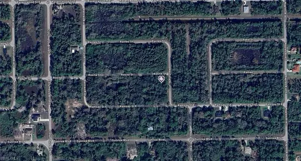 Lehigh Acres, FL 33974,1224 Rosita ST E