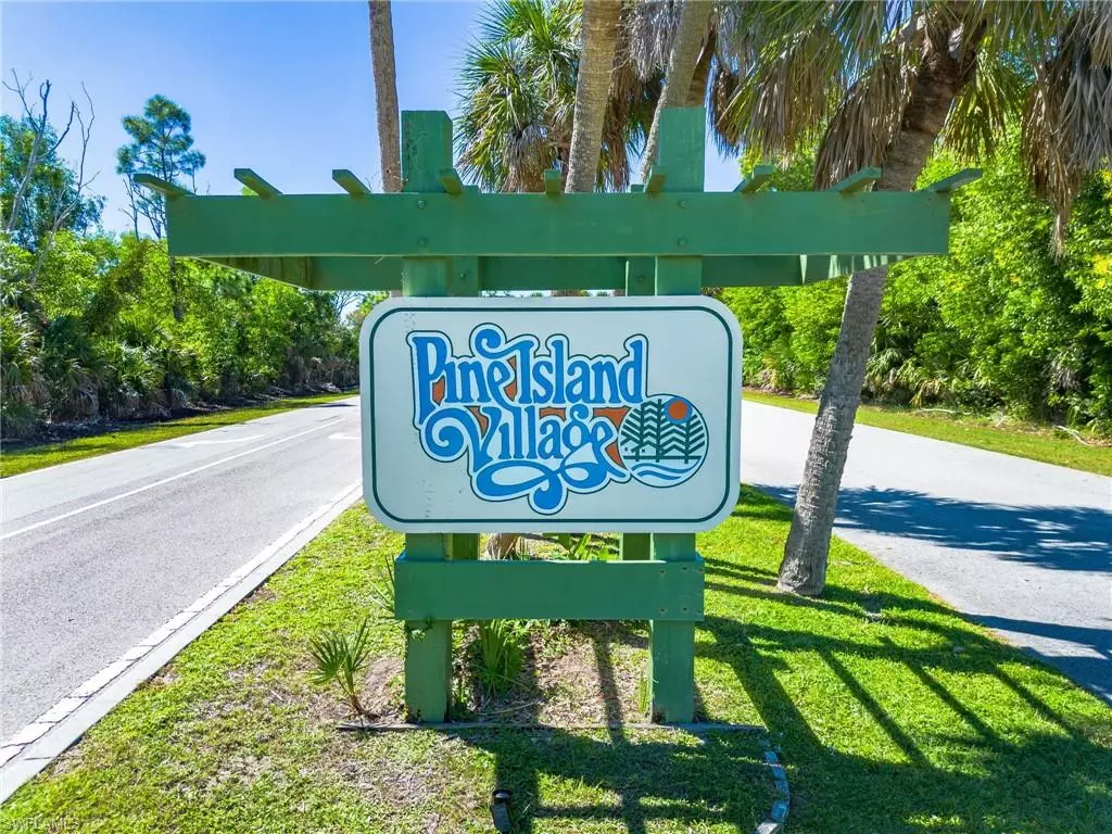 Other, FL 33956,4460 Turtle Trail LN
