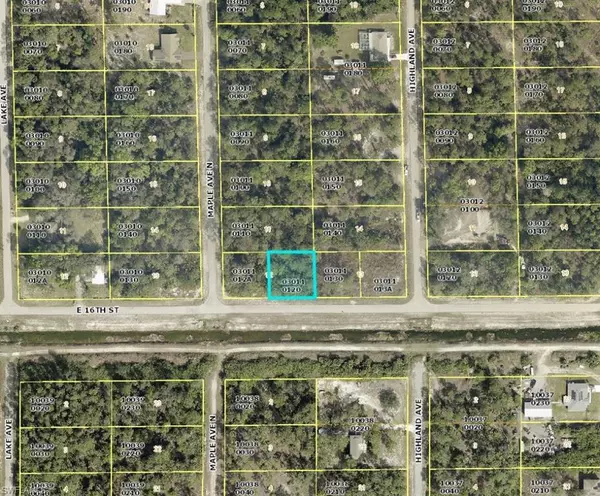 1003 E 16th ST, Lehigh Acres, FL 33972