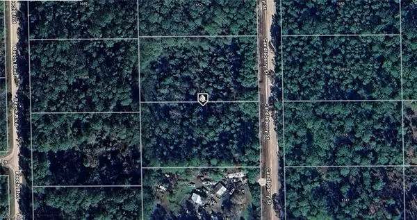 1684 & 1716 Candleberry ST, Bunnell, FL 32110