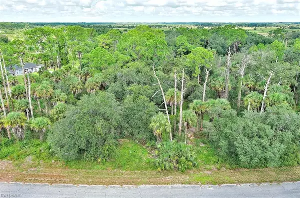 232 Sparkle DR, Labelle, FL 33935