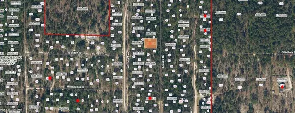 Hawthorne, FL 32640,241 Alaska DR
