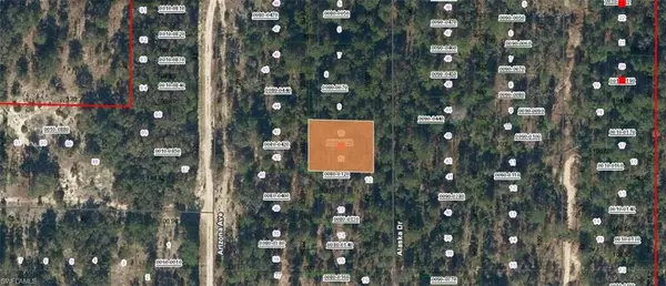 241 Alaska DR, Hawthorne, FL 32640