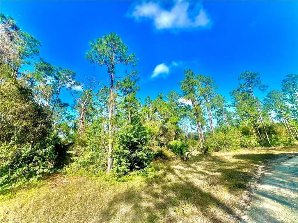 Lehigh Acres, FL 33974,124 Nassau AVE