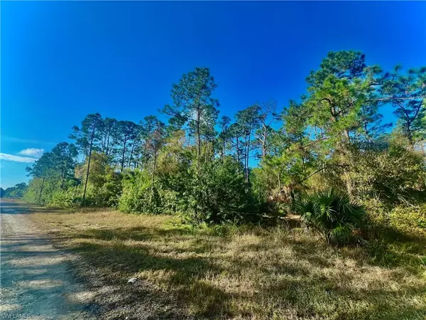 Lehigh Acres, FL 33974,124 Nassau AVE