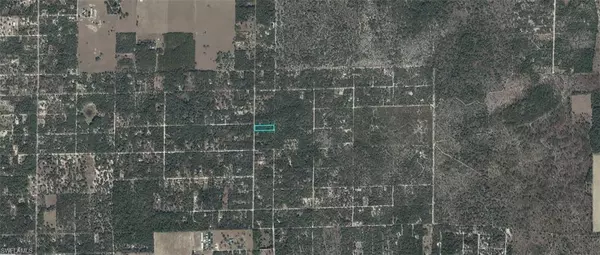 Bronson, FL 32621,10531-000-00 NE 118th TER