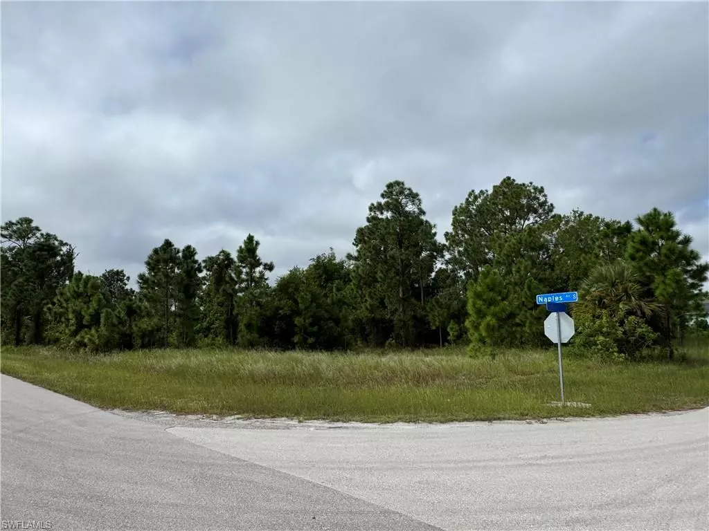 Lehigh Acres, FL 33974,1254 Egbert ST E