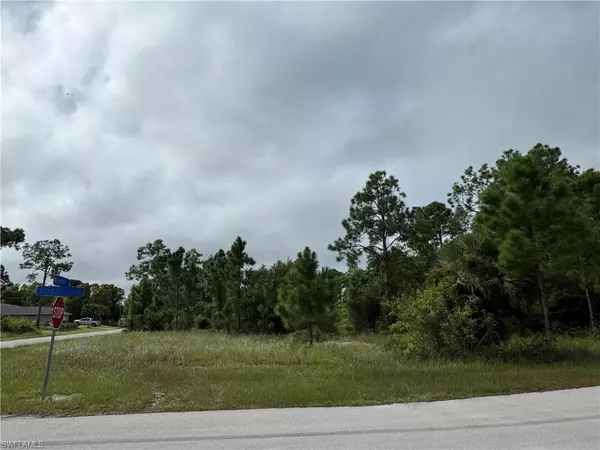 Lehigh Acres, FL 33974,1254 Egbert ST E