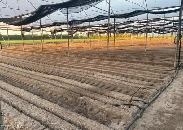 Immokalee, FL 34142,6150 Pringle LN