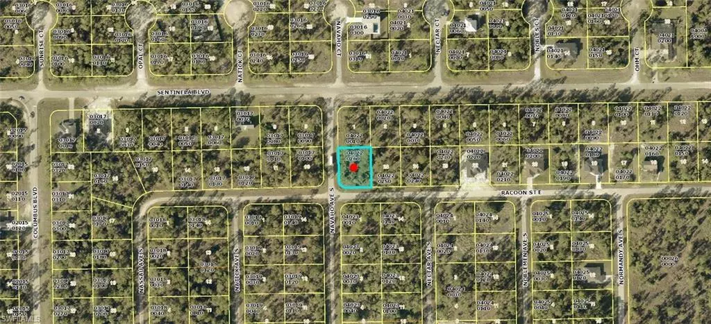 Lehigh Acres, FL 33974,1223 Racoon ST E