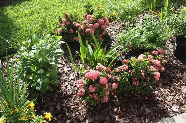 Fort Myers, FL 33966,4482 Waterscape LN