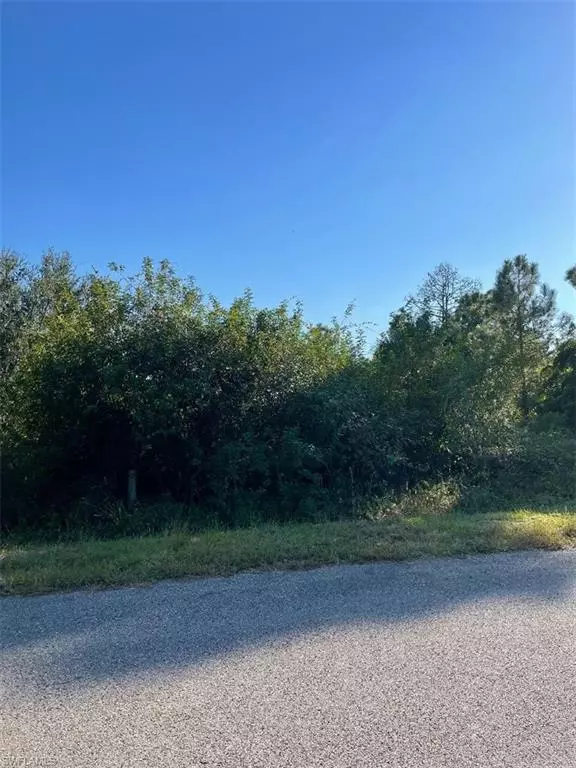 Lehigh Acres, FL 33974,436 Rayneta ST
