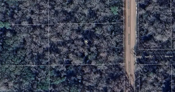 2068 Forest Park ST, Bunnell, FL 32110