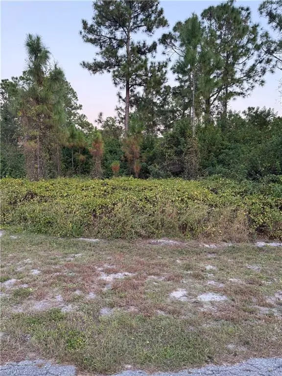 Alva, FL 33920,2002 Fitch AVE