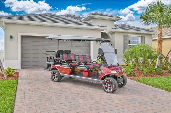 Alva, FL 33920,4000 Sweet Alyssum TER