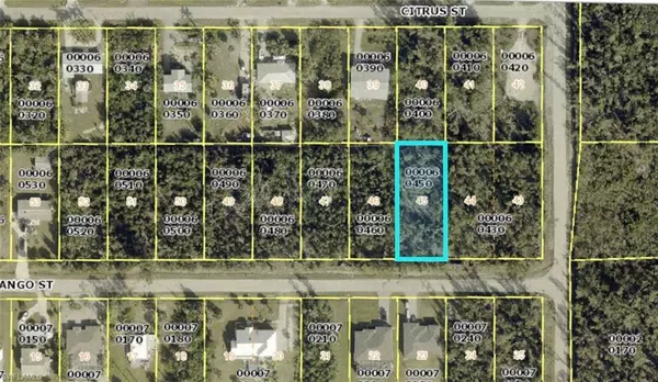 St. James City, FL 33956,3488 Mango ST