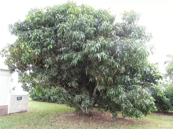 Bokeelia, FL 33922,7711 Farrell RD