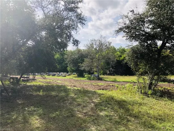 Fort Myers, FL 33913,17341 Balfour TER