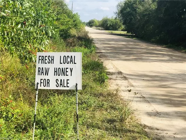 Fort Myers, FL 33913,17341 Balfour TER